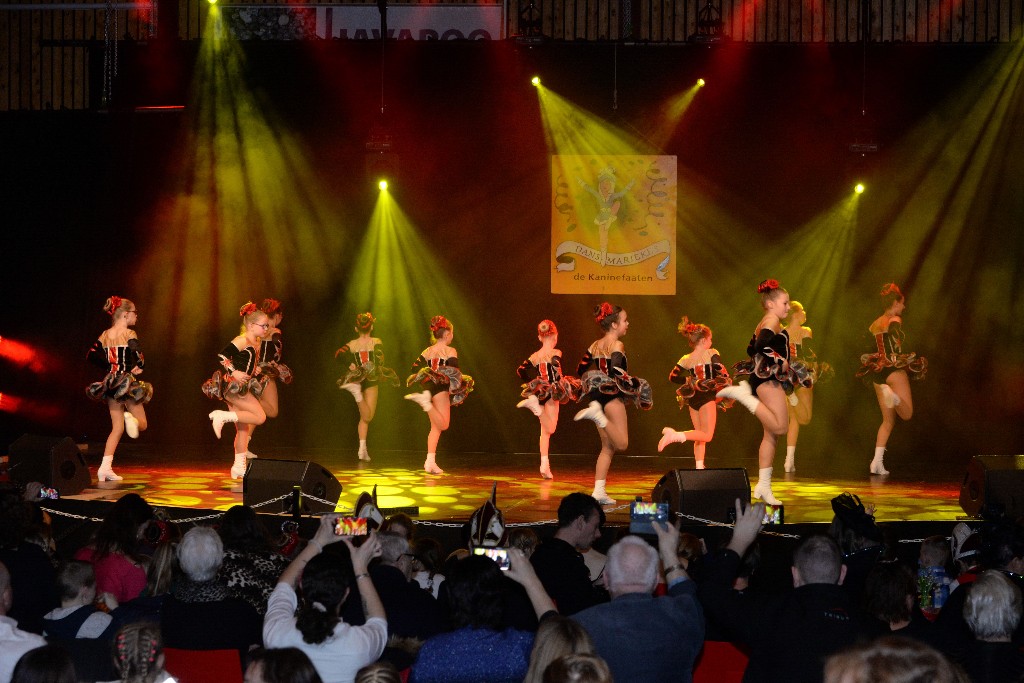 ../Images/Dansmariekefestival 2019 112.jpg